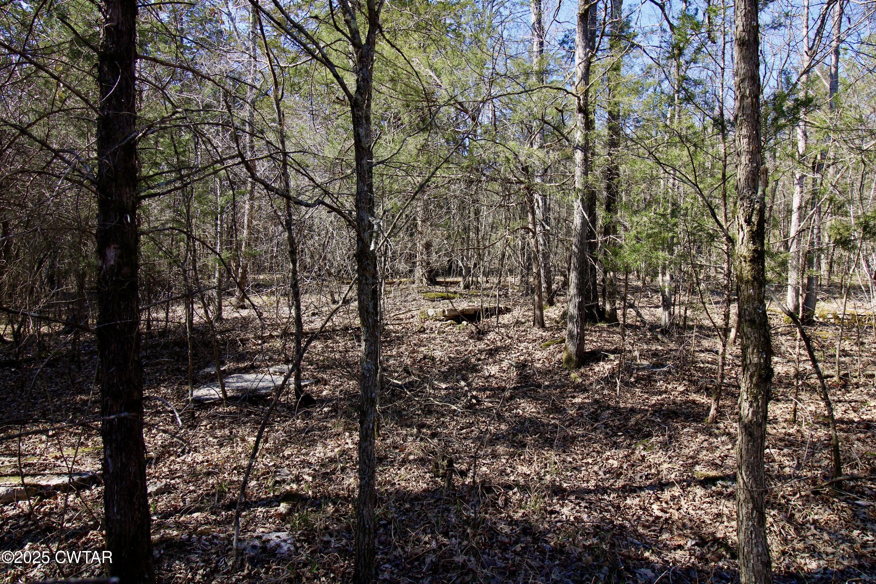 000 Sarah Kennedy Dr Property Photo 1