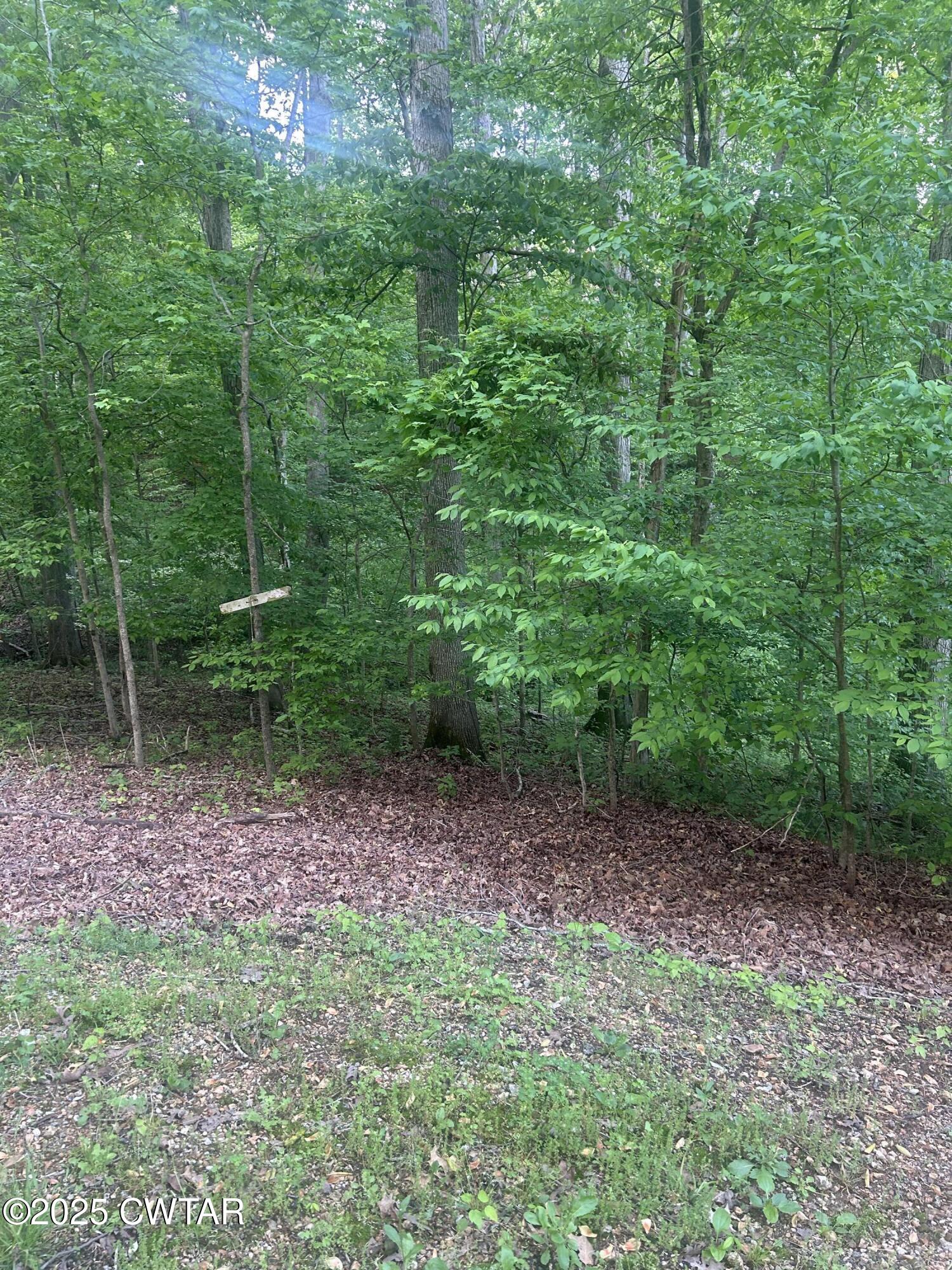 0 Cedar Lane Property Photo
