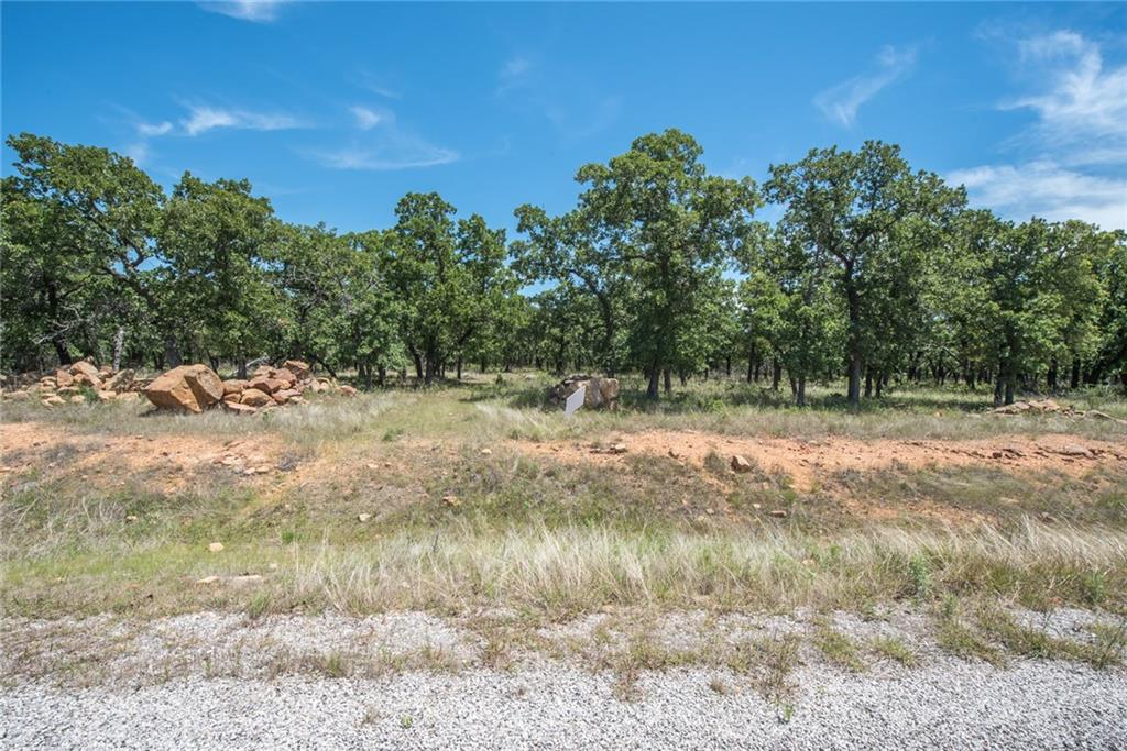 1020 Post Oak Road Property Photo 5