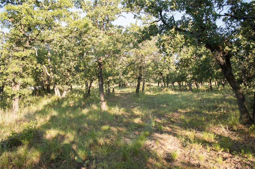1020 Post Oak Road Property Photo 6