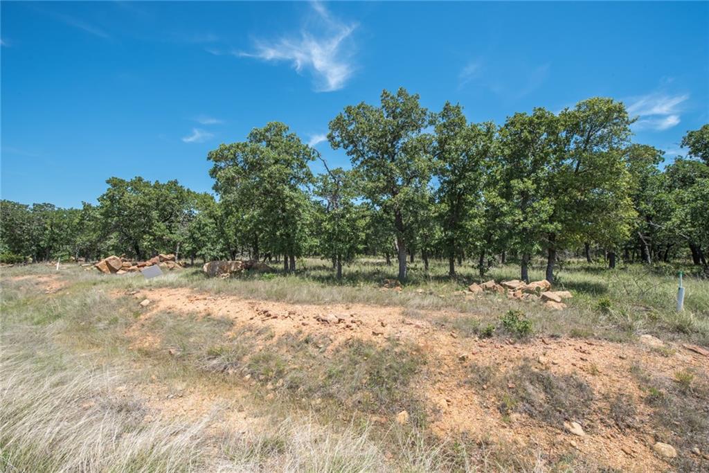 1020 Post Oak Road Property Photo 7
