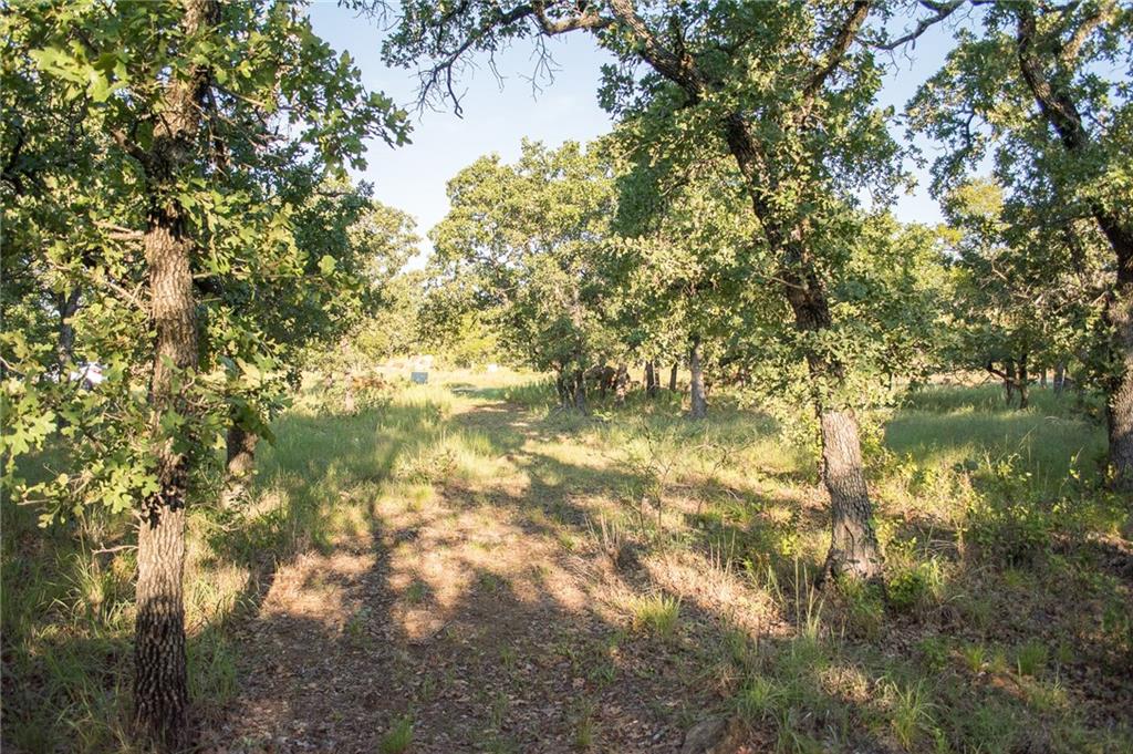 1020 Post Oak Road Property Photo 9