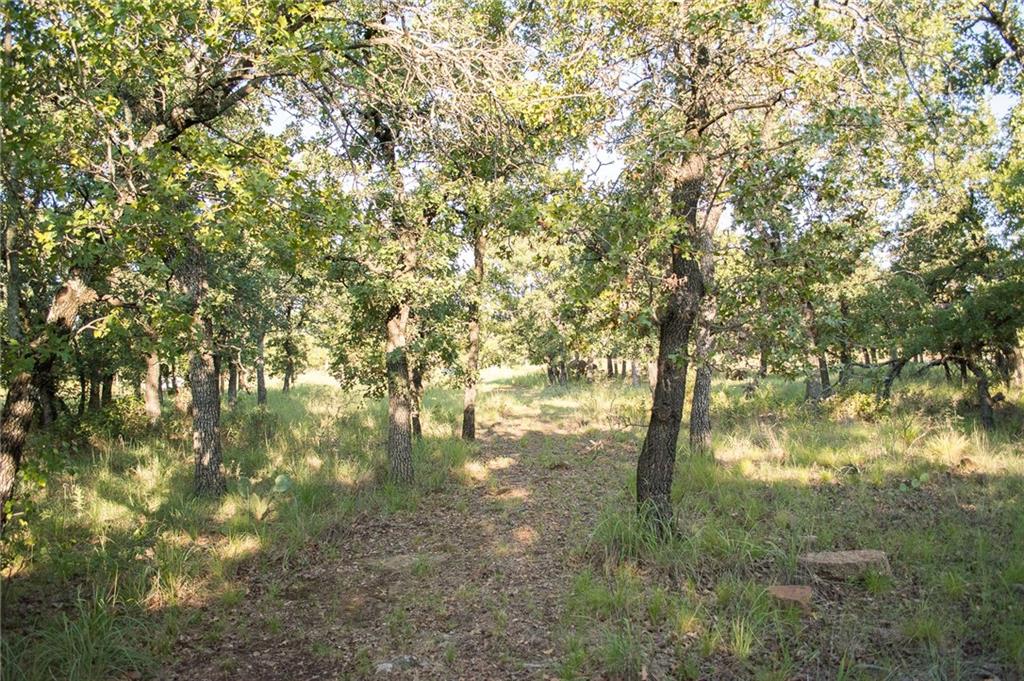 1020 Post Oak Road Property Photo 11