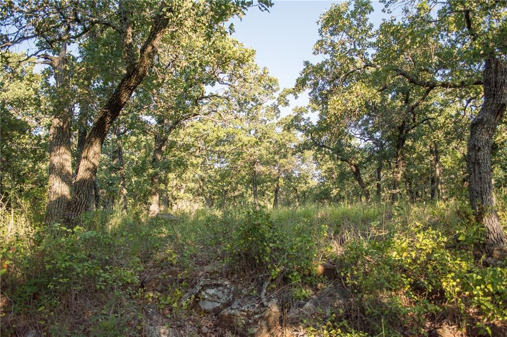 1020 Post Oak Road Property Photo 12