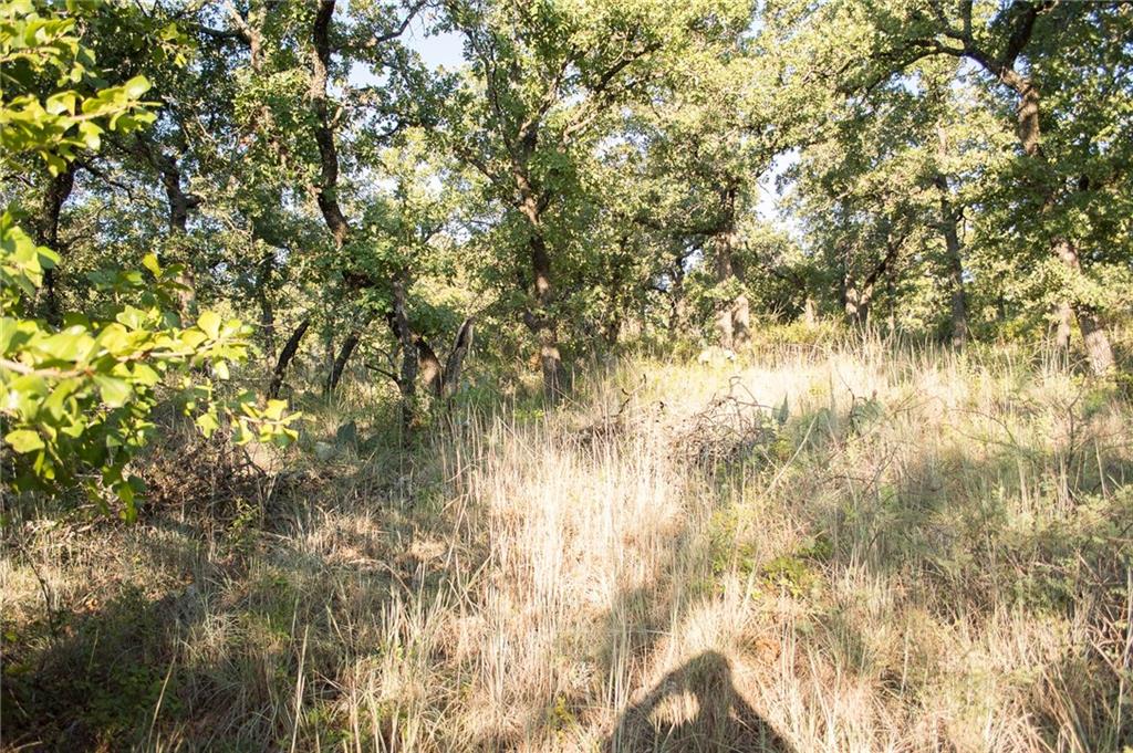 1020 Post Oak Road Property Photo 13