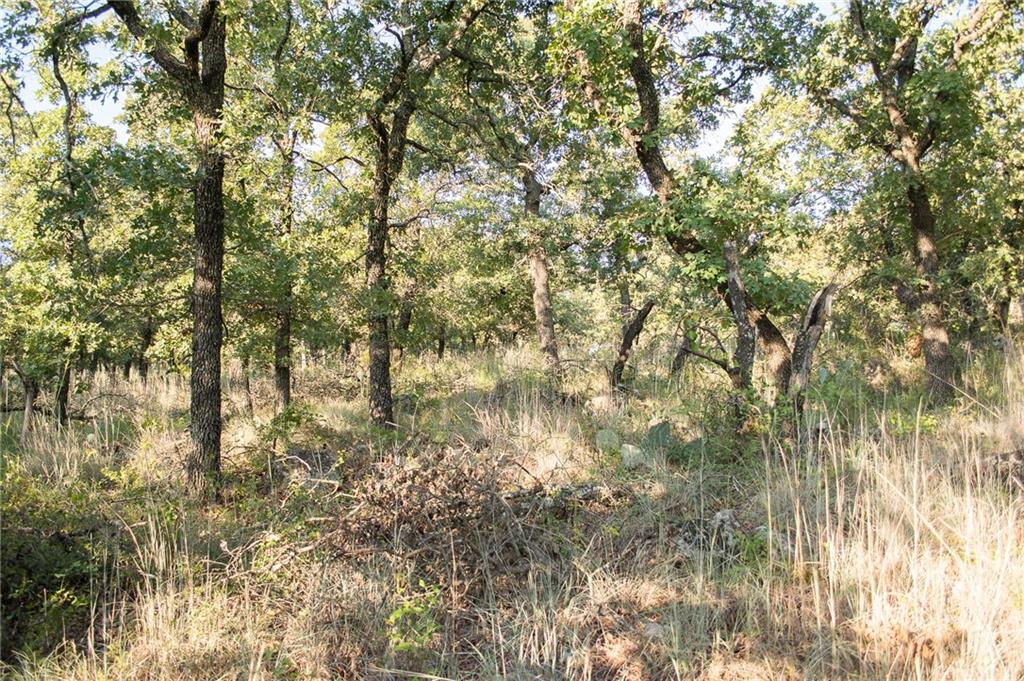 1020 Post Oak Road Property Photo 14