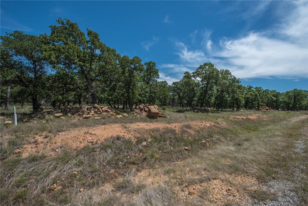 1020 Post Oak Road Property Photo 17