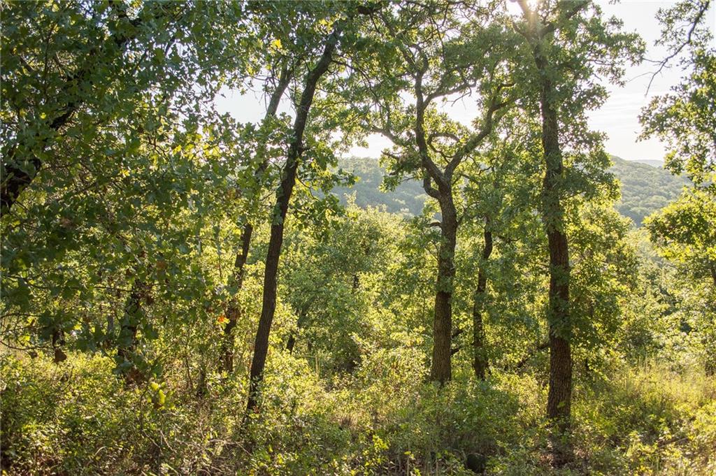 1020 Post Oak Road Property Photo 19