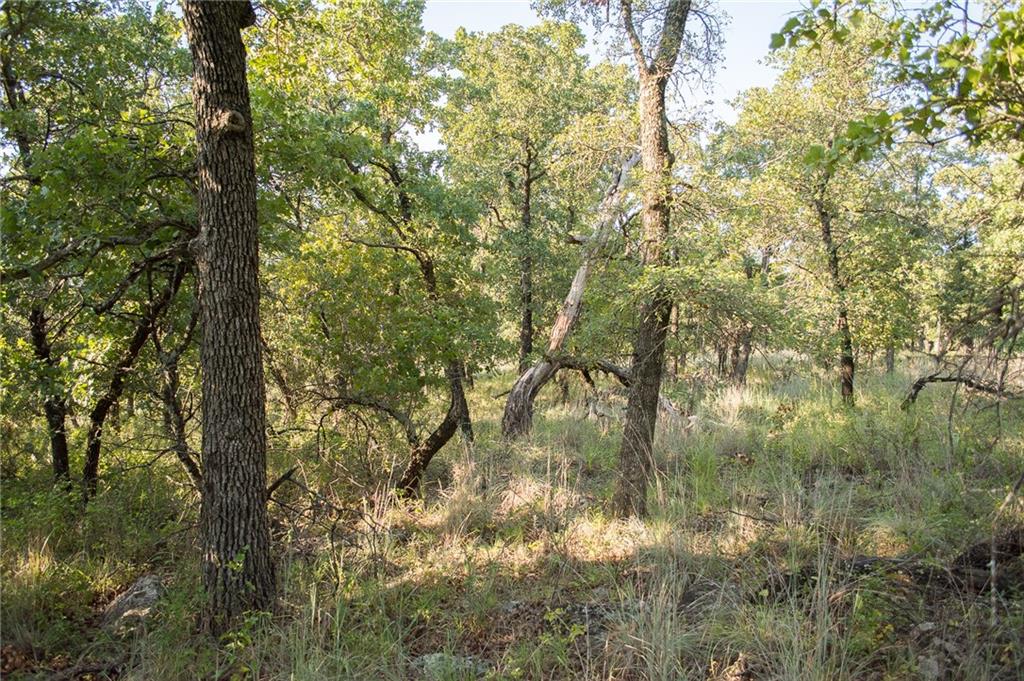 1020 Post Oak Road Property Photo 20