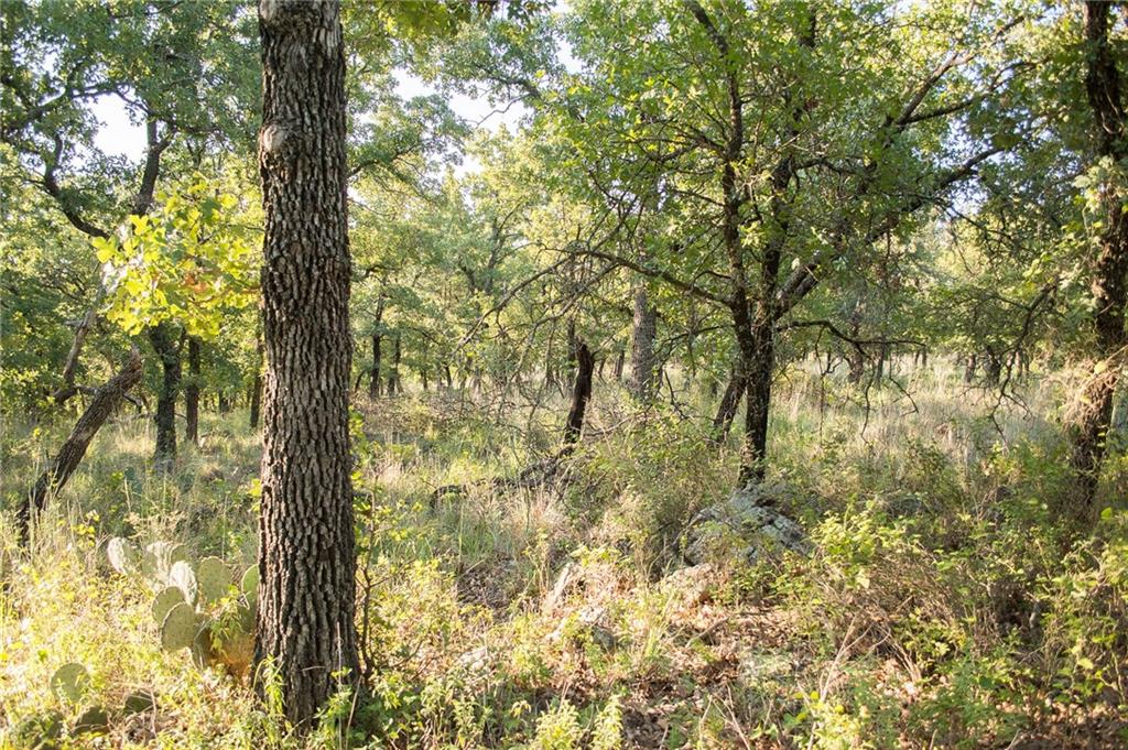 1020 Post Oak Road Property Photo 22