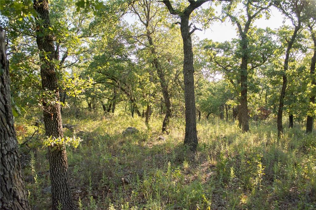 1020 Post Oak Road Property Photo 23