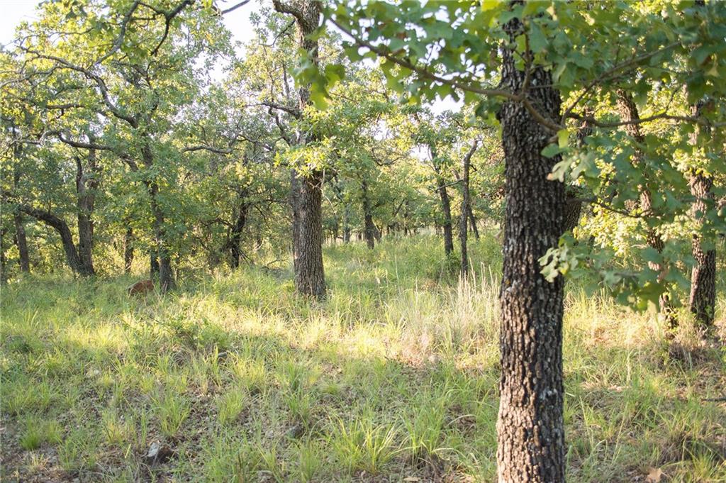 1020 Post Oak Road Property Photo 24