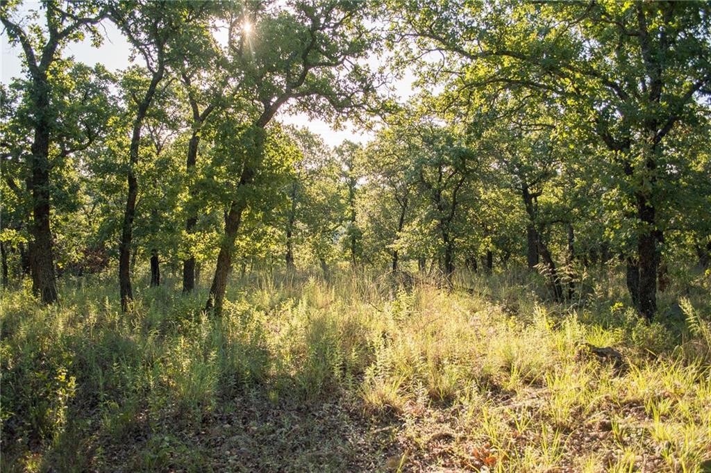 1020 Post Oak Road Property Photo 25