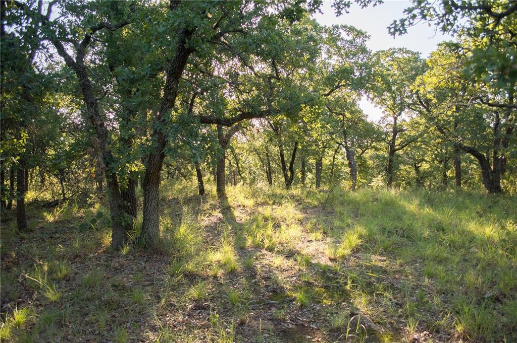 1020 Post Oak Road Property Photo 26