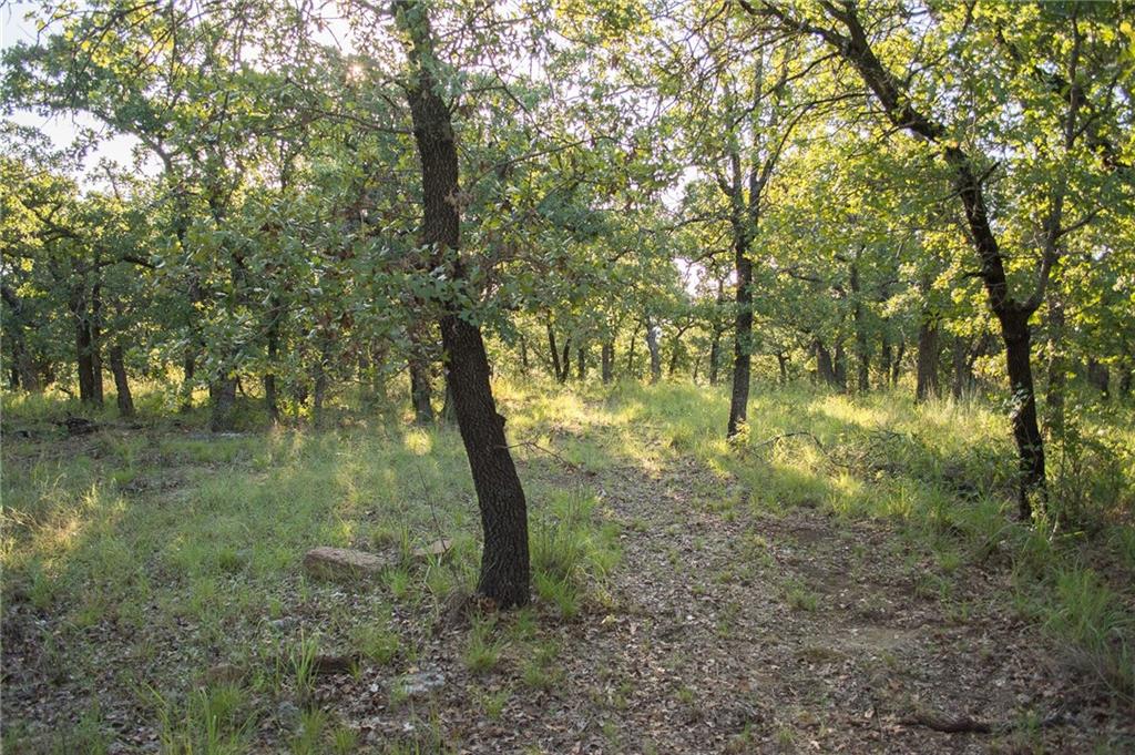 1020 Post Oak Road Property Photo 28