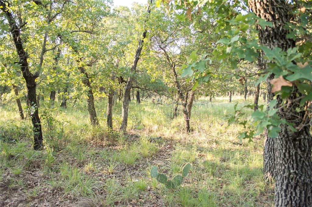 1020 Post Oak Road Property Photo 29