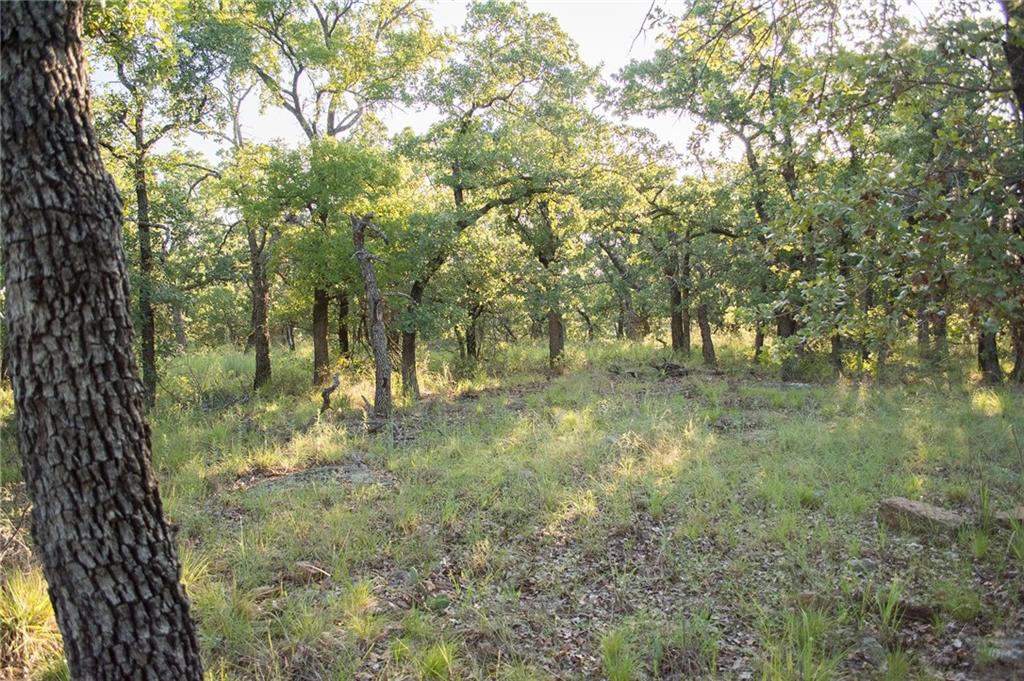 1020 Post Oak Road Property Photo 30