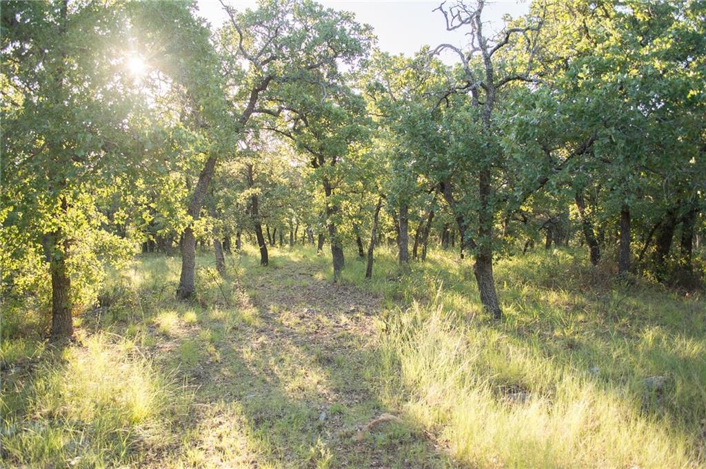 1020 Post Oak Road Property Photo 32