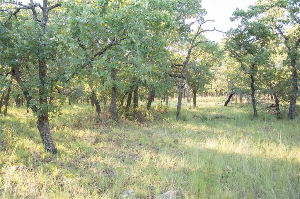 1020 Post Oak Road Property Photo 33