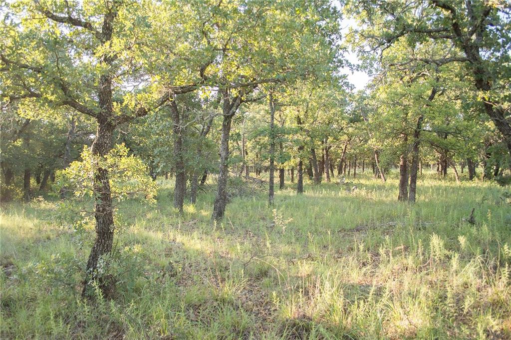 1020 Post Oak Road Property Photo 34