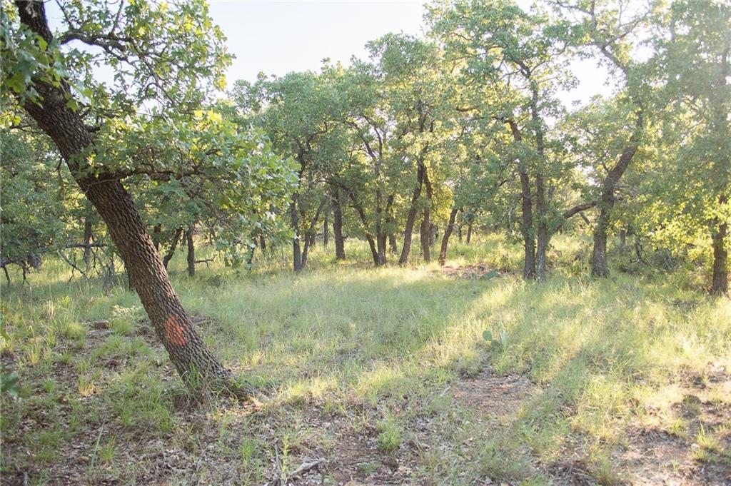1020 Post Oak Road Property Photo 35