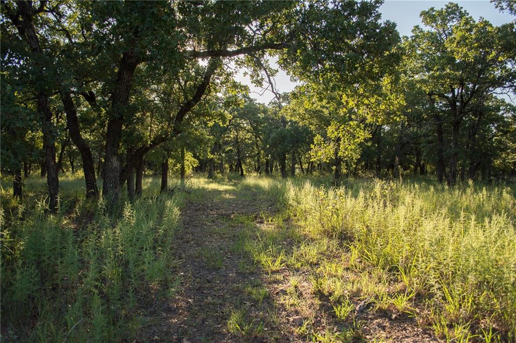 1020 Post Oak Road Property Photo 36