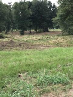 1201 Hwy 146 Bypass Bypass Property Photo 3