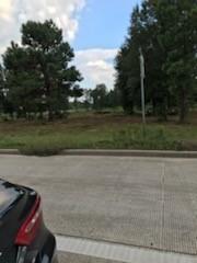 1201 Hwy 146 Bypass Bypass Property Photo 4