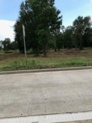 1201 Hwy 146 Bypass Bypass Property Photo 5