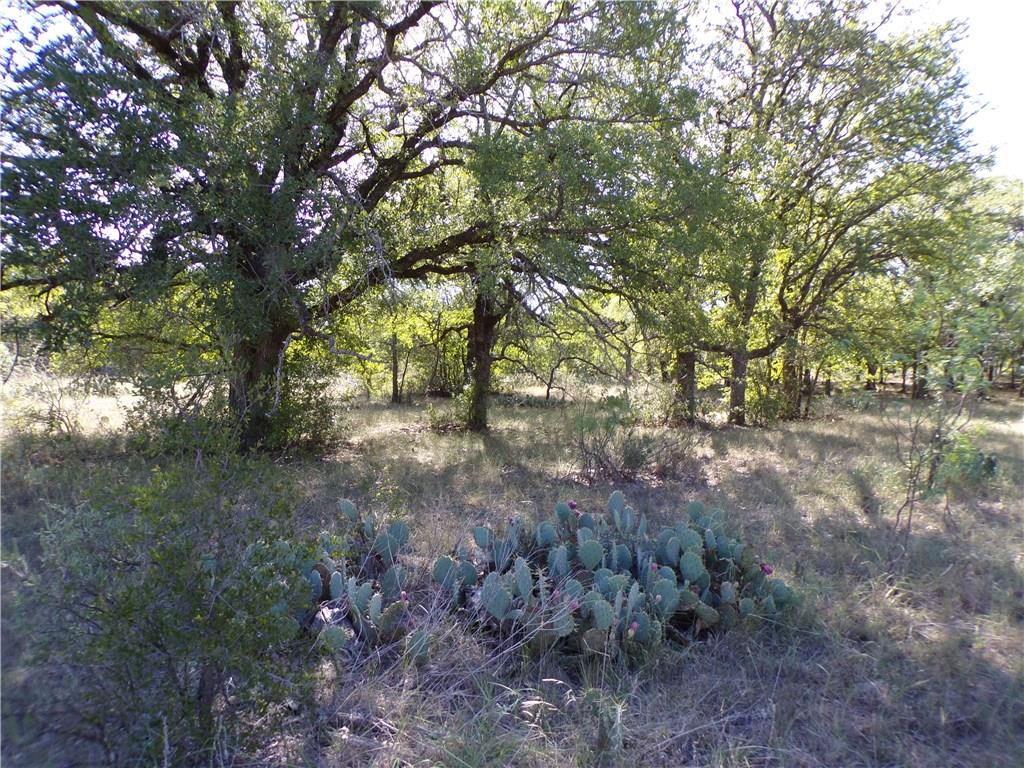 9999 Fm 2492 Property Photo 26