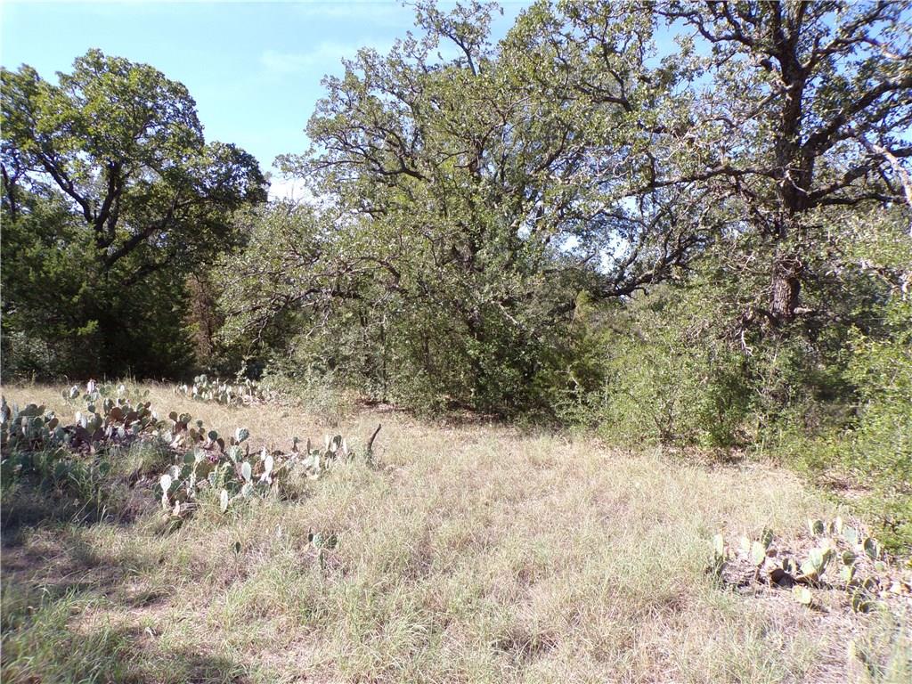 9999 Fm 2492 Property Photo 27