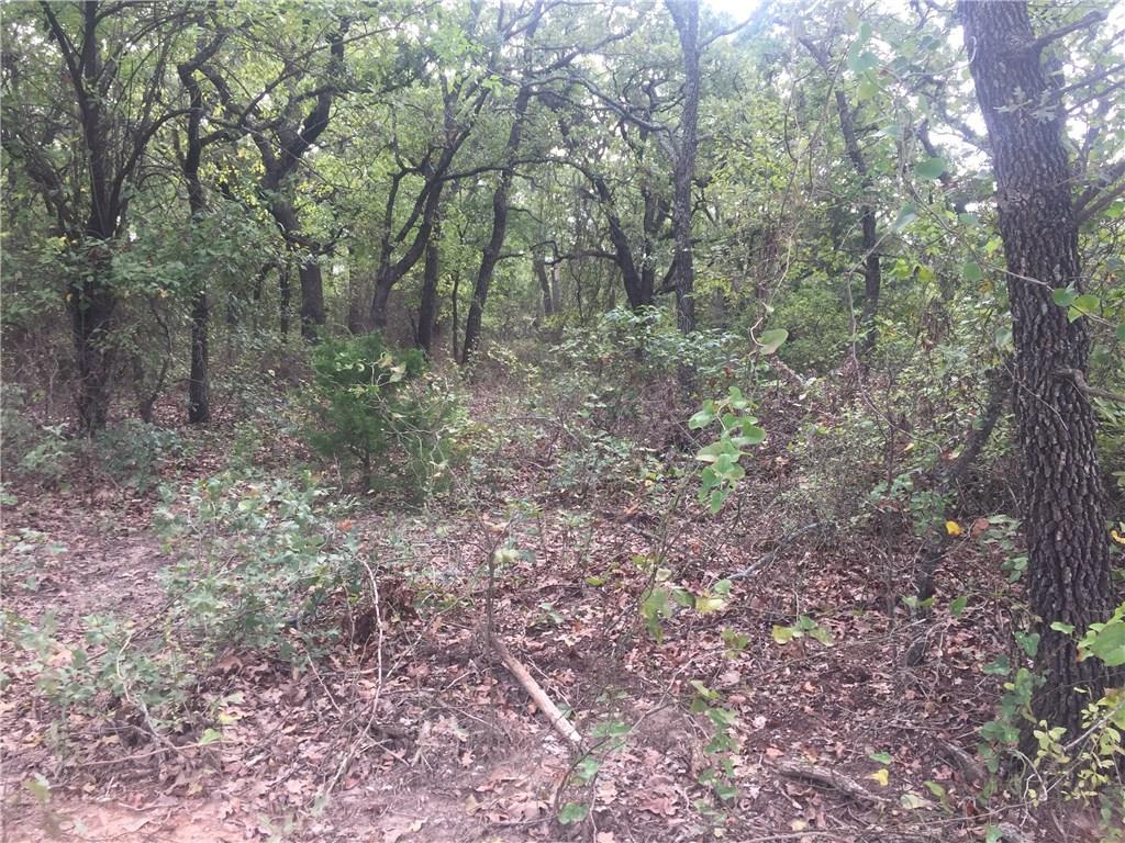 000 Starr Mann Property Photo 1