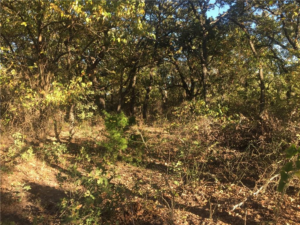 000 Starr Mann Property Photo 2