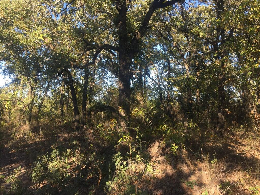 000 Starr Mann Property Photo 3