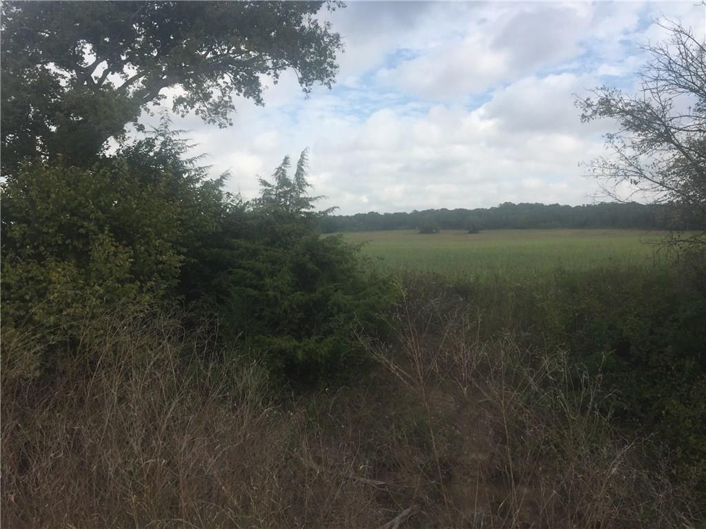 000 Starr Mann Property Photo 10