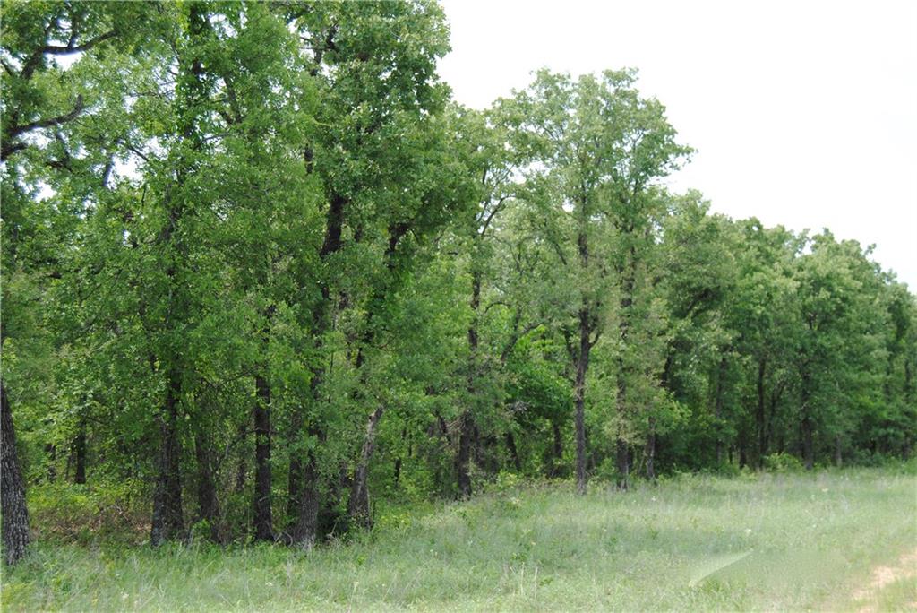 9 R1 Fm 2123 Property Photo 8