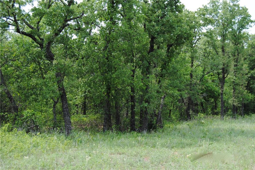 9 R1 Fm 2123 Property Photo 9