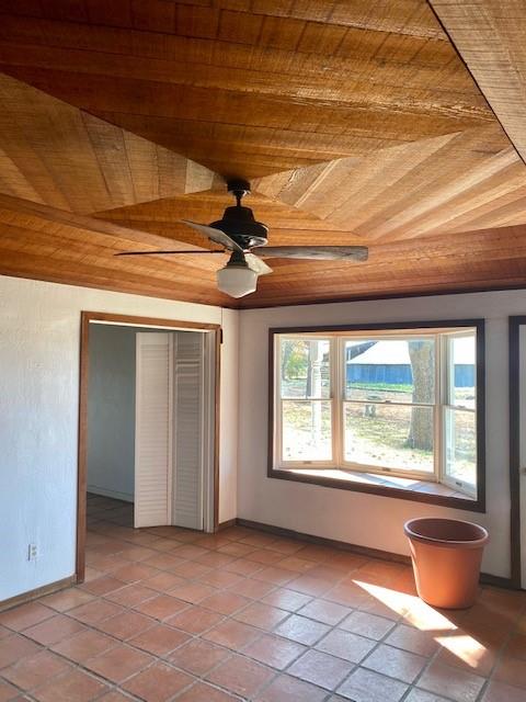 5544 Farm Road 905 Property Photo 7