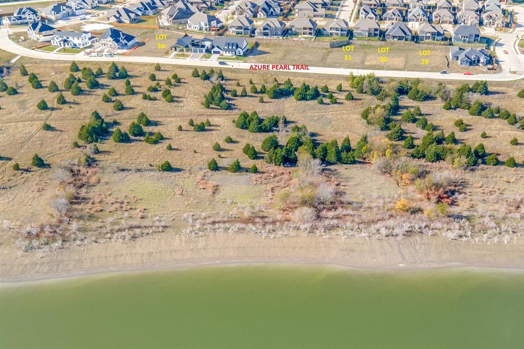 1306 Azure Pearl Trail Property Photo 1