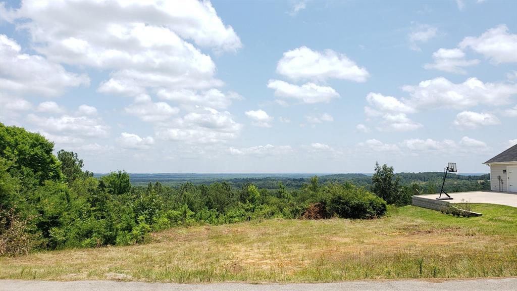 11082 Skyline Drive Property Photo 1