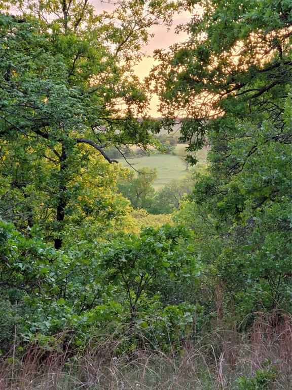 00000 Hwy 59 S Property Photo 2