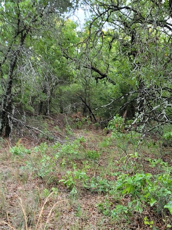 00000 Hwy 59 S Property Photo 3