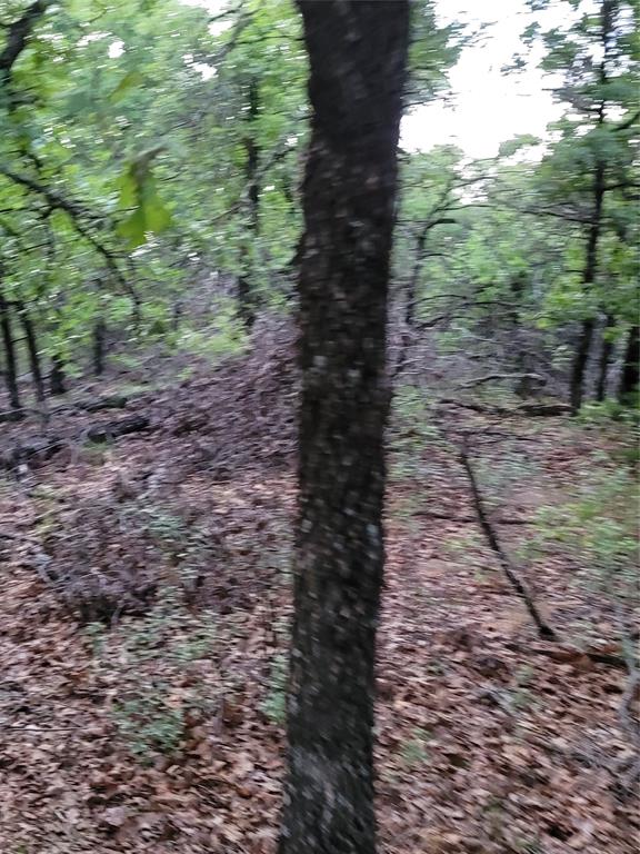 00000 Hwy 59 S Property Photo 10