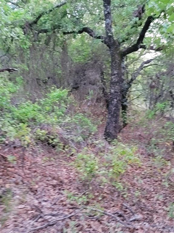 00000 Hwy 59 S Property Photo 13