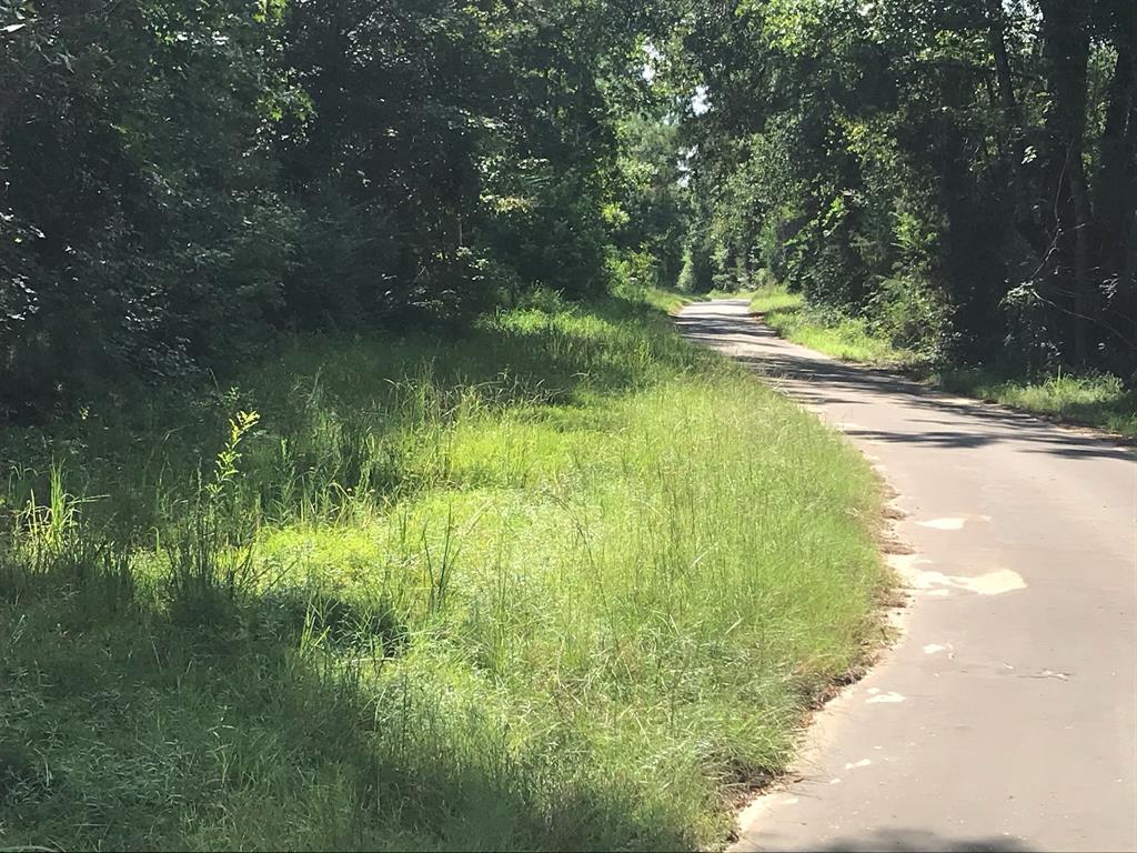 Tbd S Hwy 59 Highway Property Photo 3