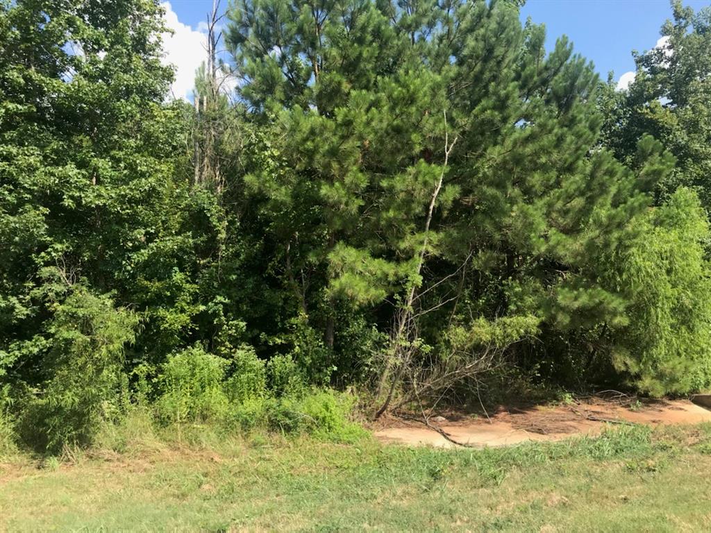 Tbd S Hwy 59 Highway Property Photo 4