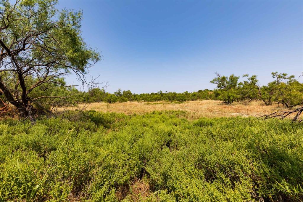 Tbd Cr 349 Property Photo 8