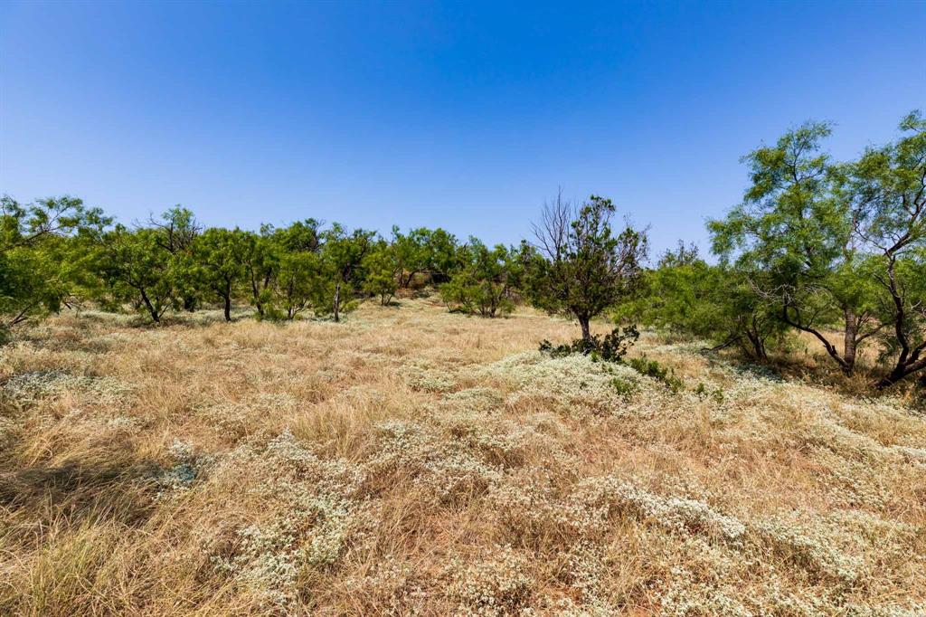 Tbd Cr 349 Property Photo 9