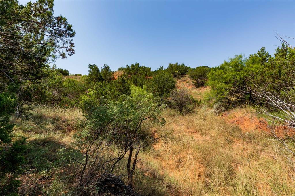 Tbd Cr 349 Property Photo 13