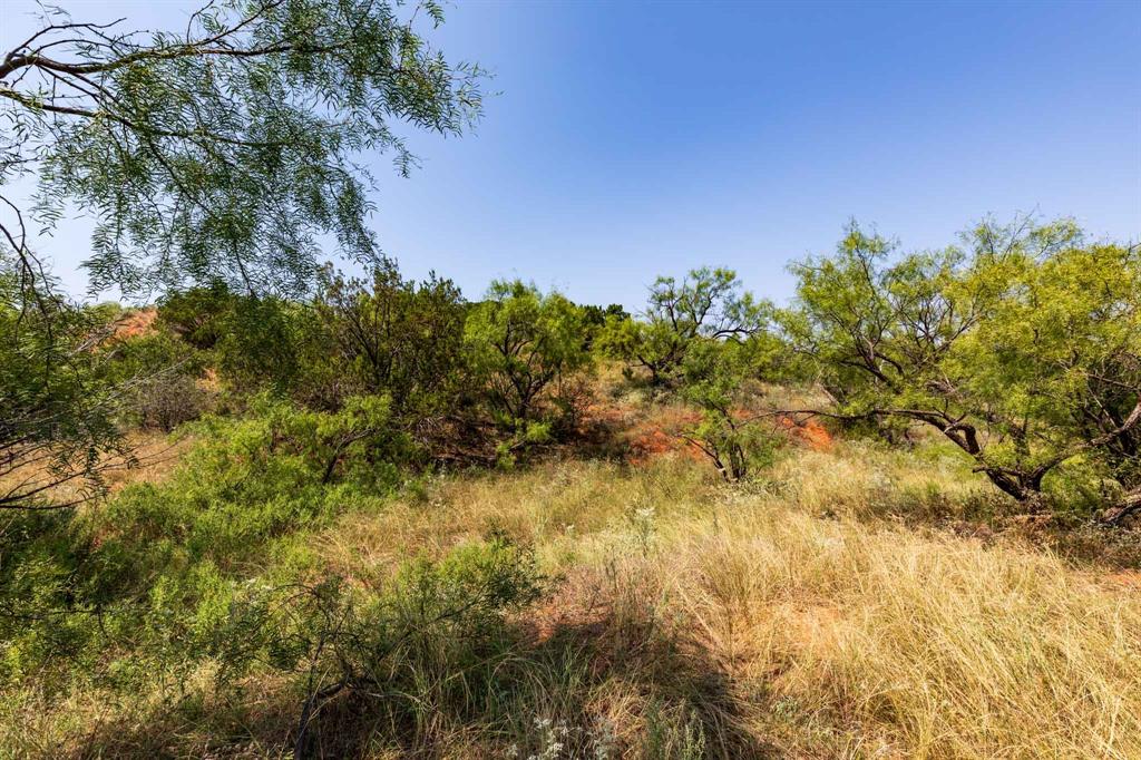 Tbd Cr 349 Property Photo 14
